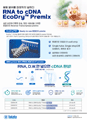 RNA to cDNA EcoDry Premix
